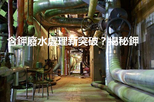 含鉀廢水處理新突破？揭秘鉀元素回收的以后之路！